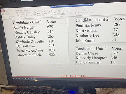 2022primary election results