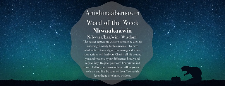 Anishinaabemowin Word of the Week Nbwaakaawin