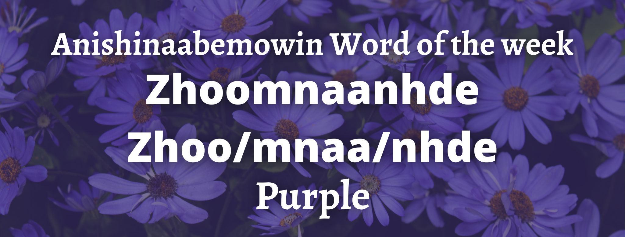 Anishinaabemowin Word of the week Zhoomnaanhde Purple