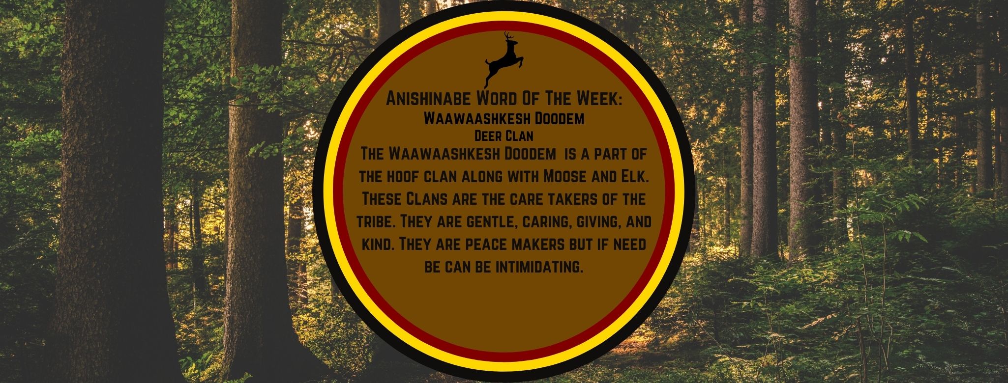 Anishinabe Word of the Week Waawaashkesh Dodem