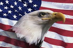 Eagle on Flag