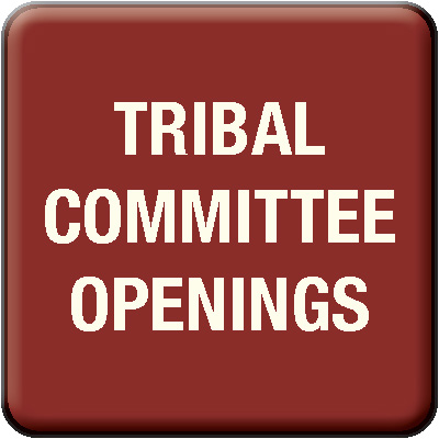 Tribal Committee Openings2